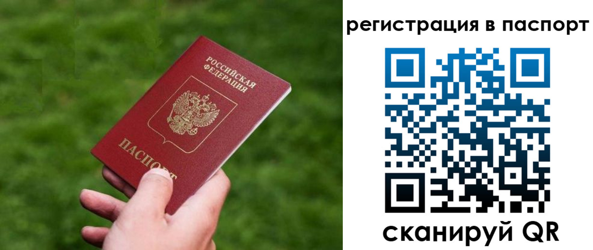 пропишу в квартире в Волосово