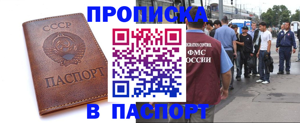 временная регистрация поиск в Волосово
